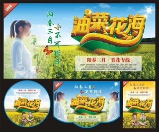 油菜花海报图片