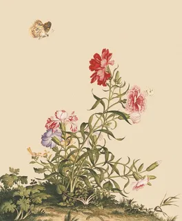花鸟画图片 花鸟画图片