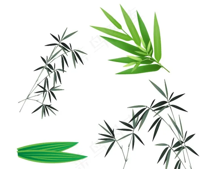 竹叶素材图片ai矢量模版下载