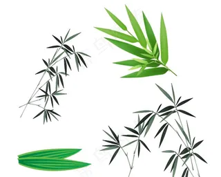 竹叶素材图片