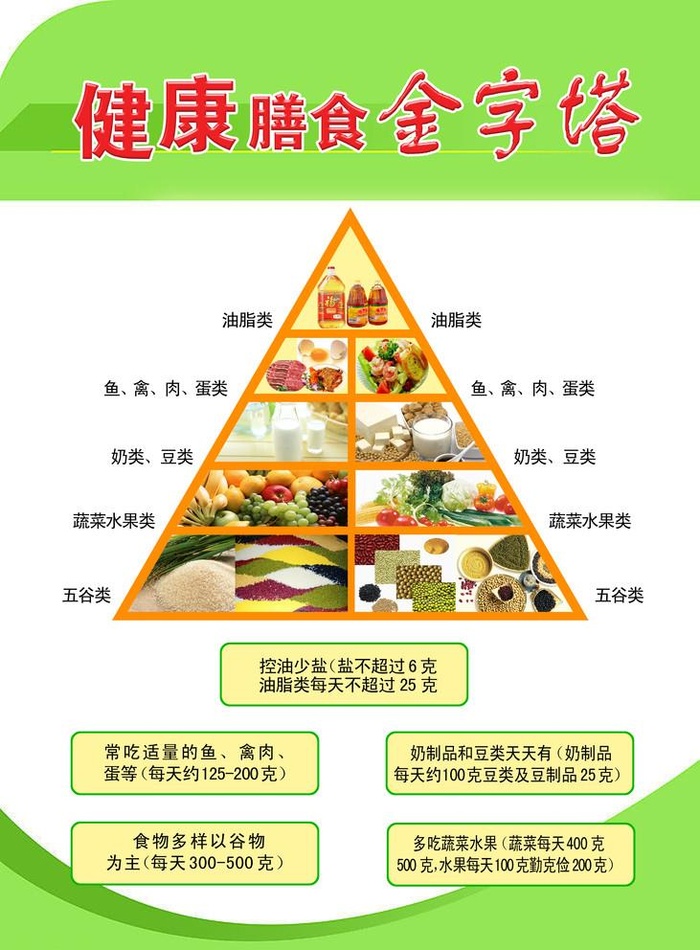 食物金字塔图片(2500x3500)psd模版下载