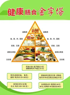 食物金字塔图片