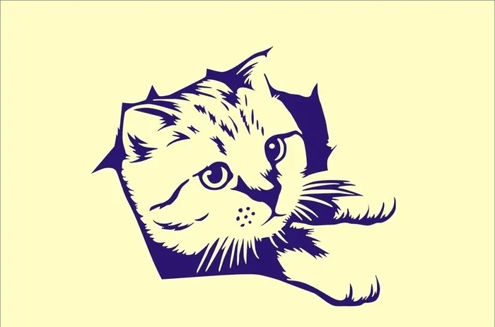 猫图片cdr矢量模版下载