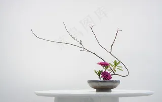 插花图片
