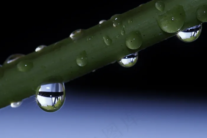 滴水，雨滴，一滴水，串珠，关闭，自然