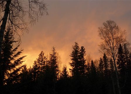 日落，冬季，雷暴，天气，风光，自然