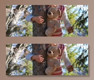 熊，泰迪熊，毛茸茸的泰迪熊，儿童，森林