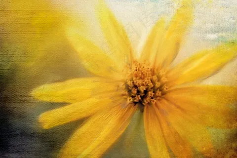绘画,黄色,花,盛开,夏天,花园 绘画,黄色,花,盛开,夏天,花园