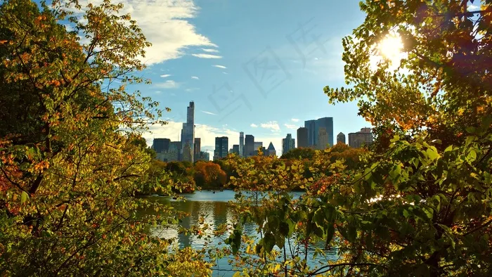纽约，*公园，纽约市，曼哈顿，公园，风景