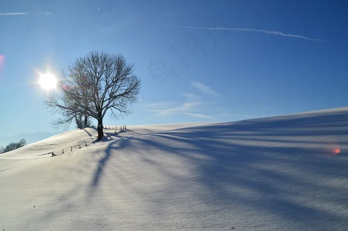冬季，雪，阿尔高，景观，背光，树木