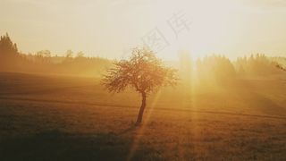 早晨，日出，太阳，天空，天空，阳光，心情