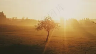 早晨，日出，太阳，天空，天空，阳光，心情