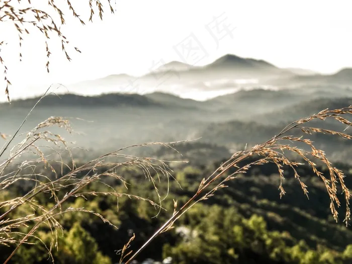 斯皮卡斯，草，景观，视图，山脉，遥远