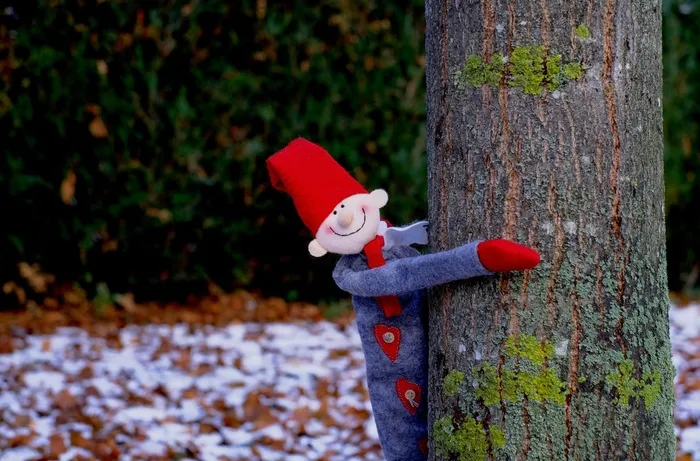 小鬼，玩耍，冬天，寒冷，花园