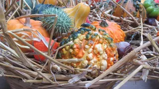 感恩节，南瓜，秋天，秋季装修