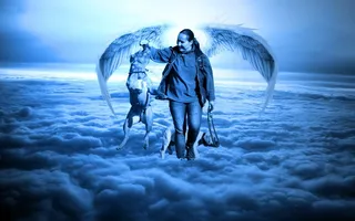 芭芭拉·德·波尔多，杜格·波尔多，狗，动物