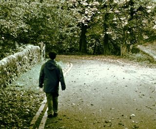 男子，行走，道路，乱抛垃圾，叶子，森林，漫步