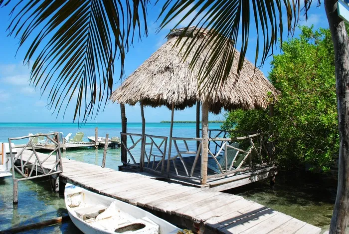 伯利兹，Caye Caulker，龙涎香，中美洲，岛