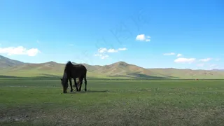 景观，天空，云，放牧马匹，山