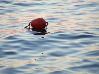 钓鱼，浮标，日落，水，橙色，浮法，海洋