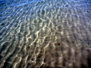 波，忽悠，见，海滩，太阳晒，夏天，沧海，水机