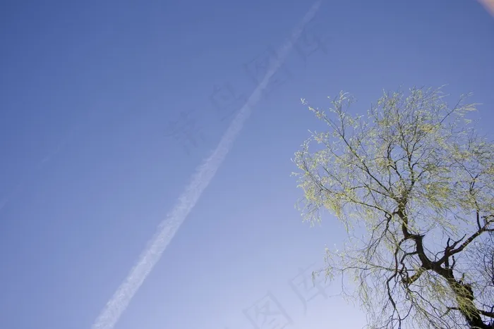天空，轨迹，树，蓝色，心情，性质，休息