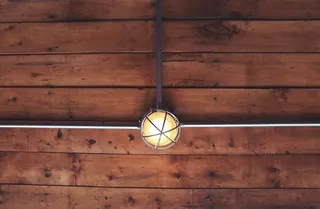 虫子,蜘蛛,地板,鸟类,挂钟,灯天花板灯木