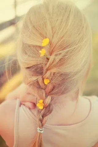 夏天，女孩，合并