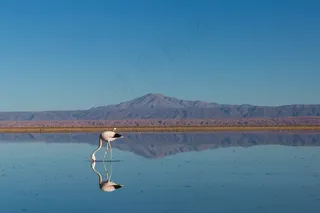 野外，户外，风景，自然，旅行，旅行
