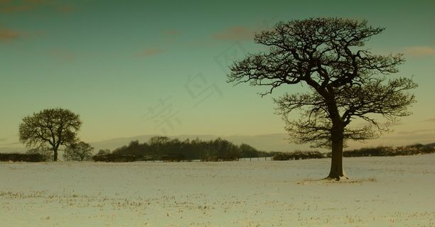 景观，冬天，冬季景观，雪，自然，冷