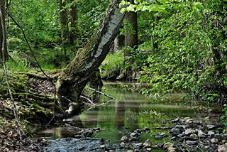 流，银行，更改，石头，水，表面，槽