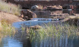 溪，岩石，景观，荒野，风景，自然