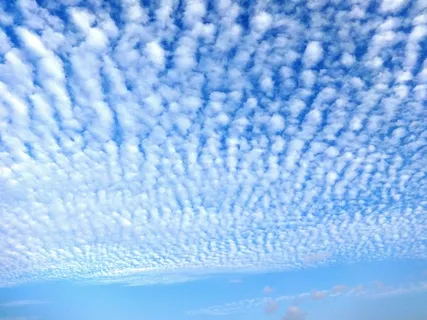 印度,天空,云团,卷云,西红柿,荷兰芹,景区,宁静 印度,天空,云团,卷云,西红柿,荷兰芹,景区,宁静