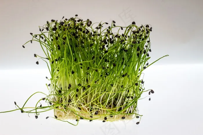 西洋菜，水芹，食品，健康，绿色，新鲜，植物