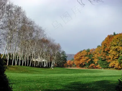 圣高登斯,新罕布什尔州,秋天,秋天,树木 圣高登斯,新罕布什尔州,秋天,秋天,树木