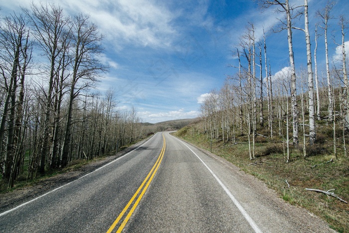 农村，道路，路面，树木，蓝色，天空，性质，伍兹