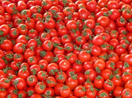 西红柿，蔬菜，红色，美味，市场，立场