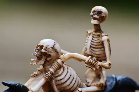 骑自行车的人,骨架,令人毛骨悚然,奇怪,装饰,吓人,骨 骑自行车的人,骨架,令人毛骨悚然,奇怪,装饰,吓人,骨