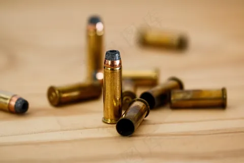 子弹头，弹药筒，弹药，犯罪，弹药，壳