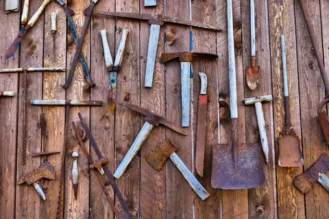 戴德曼牧场，古代，建筑物，木