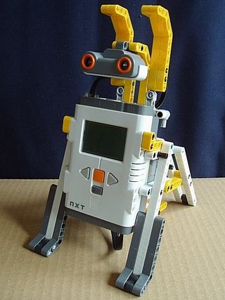 NXT Rabbit“兔子”