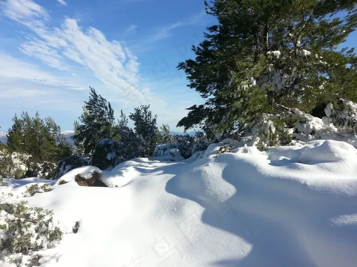 雪，冬季，山，松，冷，白色，圣诞节