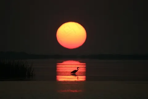 日出，海洋，湾，橙色，太阳，地平线，阳光