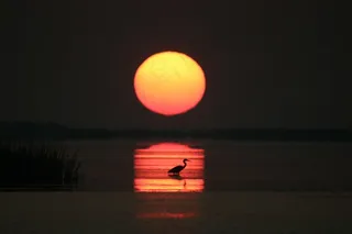 日出，海洋，湾，橙色，太阳，地平线，阳光