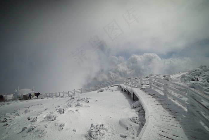 山，顶部，汉拿，雪，景观，冬季