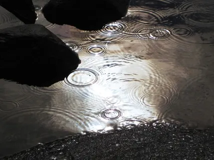 雨,下雨,湖泊,水,流,环境,多雨 雨,下雨,湖泊,水,流,环境,多雨