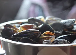 贻贝，食品，吃，贝类，晚餐，新鲜，海鲜