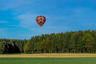 气球，驱动器，天空，蓝色，森林，草地，场