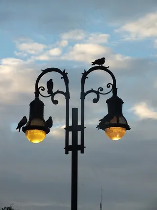 鸽子，天空，和平，平静，云团，多云，天，地平线