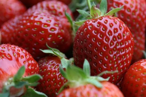 草莓，水果，吃，食品，关闭，美味，红色
